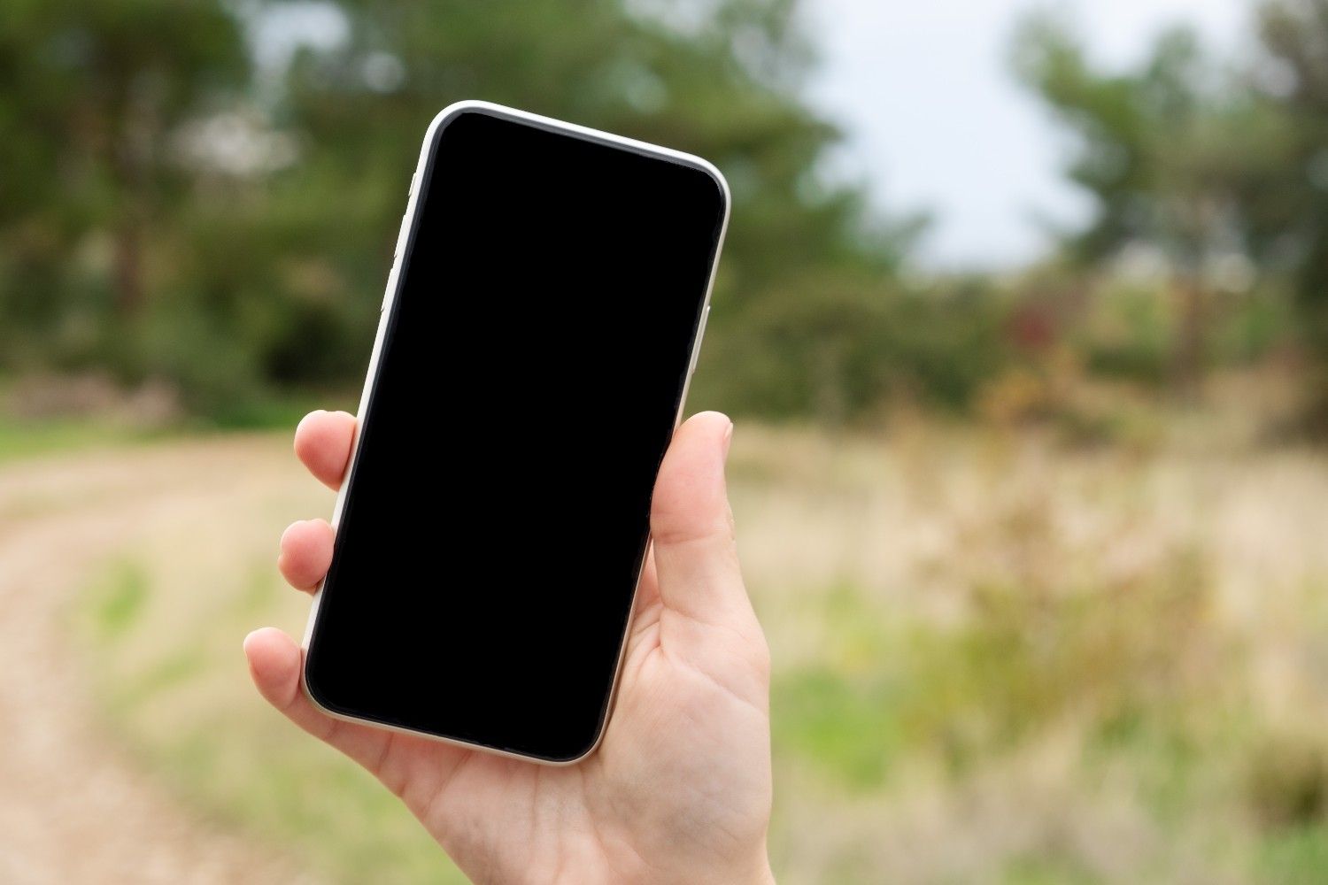 iPhone bloqué sur l’écran noir de chargement en boucle : comment le réparer ?